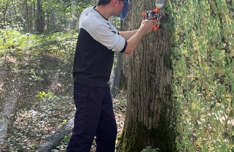 74d65865-33b6-4d55-9a6e-7e018f6b3f33